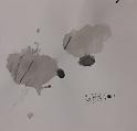 disegni2 (15)